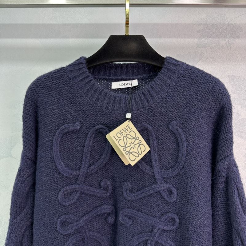 Loewe Sweaters